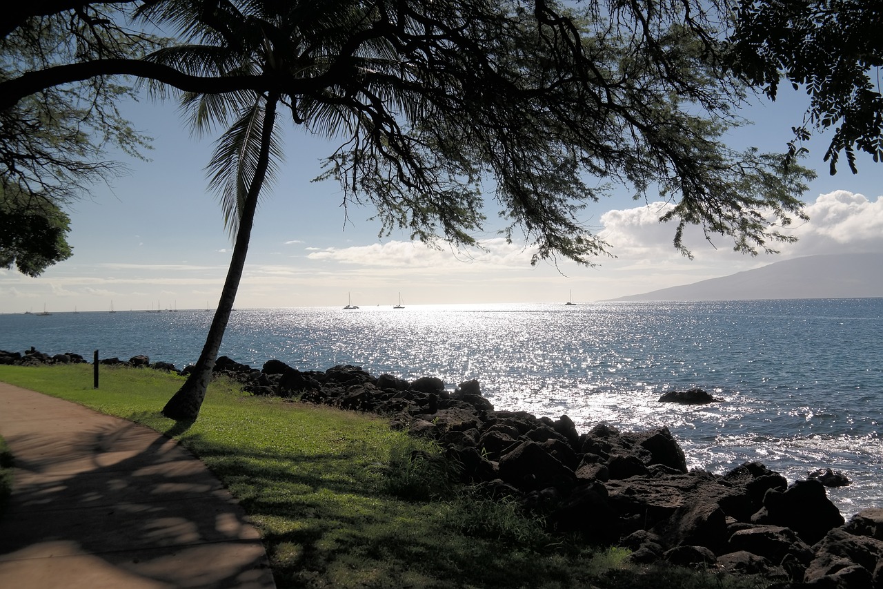 Maui